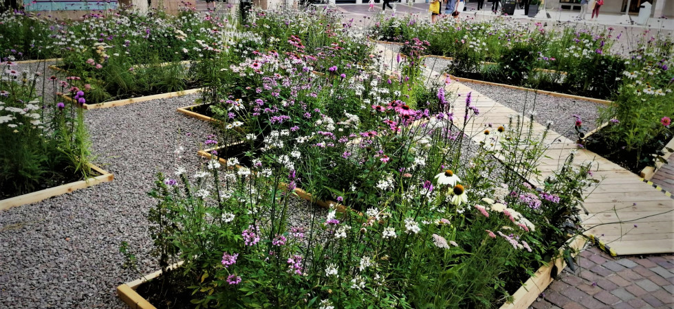 Labirinti di fiori invadono il centro storico, un unico spazio gioco (tutto da percorrere) a misura di bambini